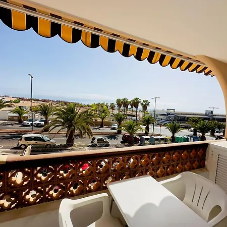 Daire Oasis Palmar House